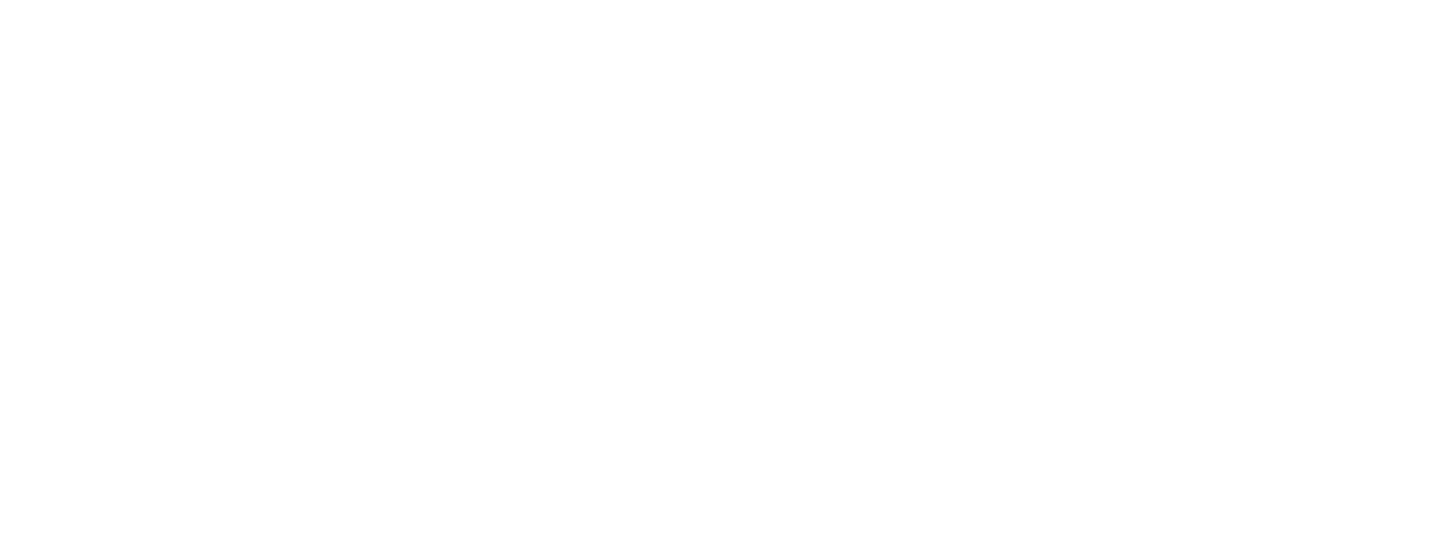 diputacion caceres logo ok